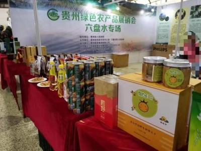 东西协作 山海情深 贵州绿色农产品展销会在大连举行